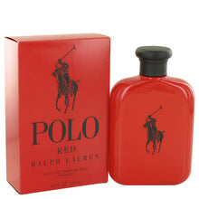 Load image into Gallery viewer, Polo Red ♂
